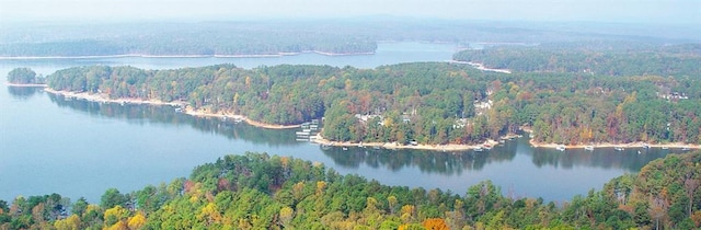 1209 Lakeside Overlook, Canton, GA 30114 - aerial view of property's location featuring a forest and a nearby body of water