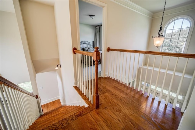 stairway with hardwood / wood-style floors and ornamental molding