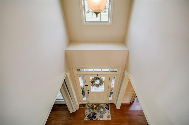 entrance foyer featuring dark hardwood / wood-style flooring and a healthy amount of sunlight