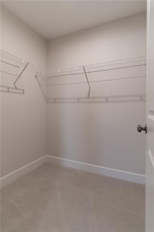 spacious closet featuring carpet