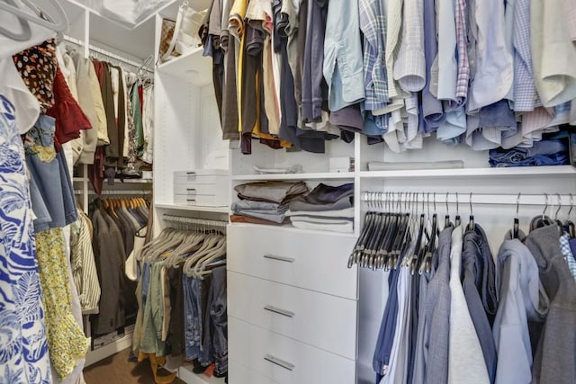 view of spacious closet