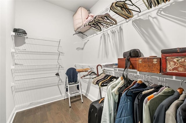 walk in closet featuring hardwood / wood-style flooring