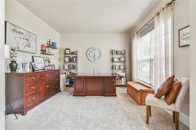 3060 Mccannon Mill Dr, Dacula, GA 30019 - office space featuring light colored carpet