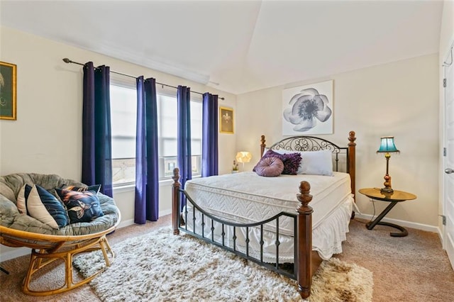 carpeted bedroom with multiple windows