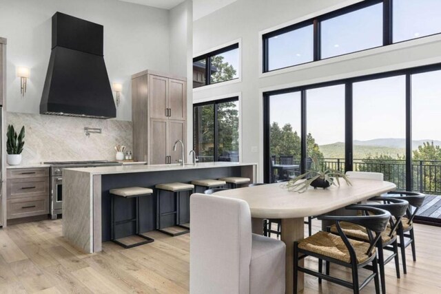 kitchen featuring a mountain view, an island with sink, stainless steel stove, custom range hood, and light hardwood / wood-style floors