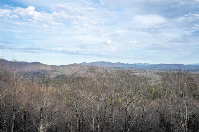 view of mountain feature