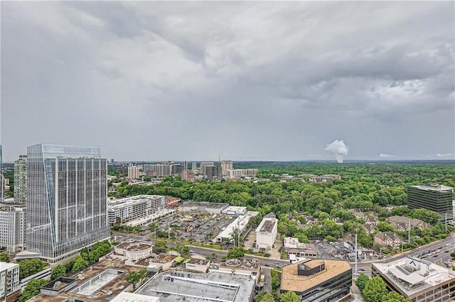 3338 Peachtree Rd NE Unit 1507, Atlanta, GA 30326 - view of urban area