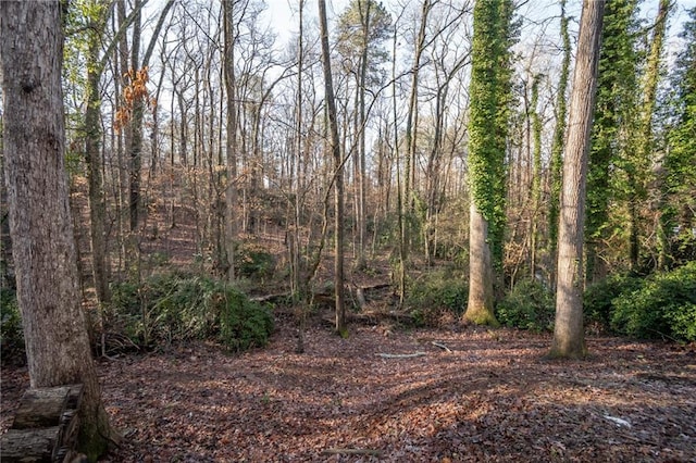 view of landscape