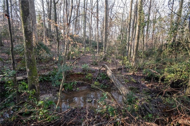 view of local wilderness