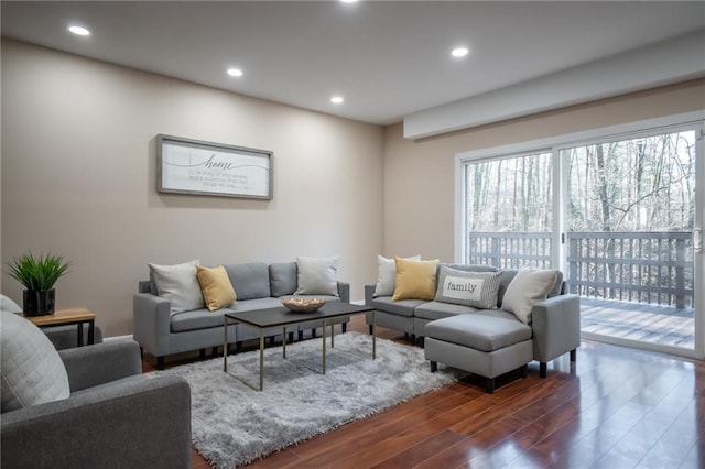 living room featuring dark hardwood / wood-style flooring