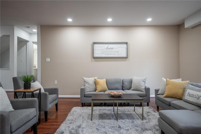 living room featuring wood-type flooring