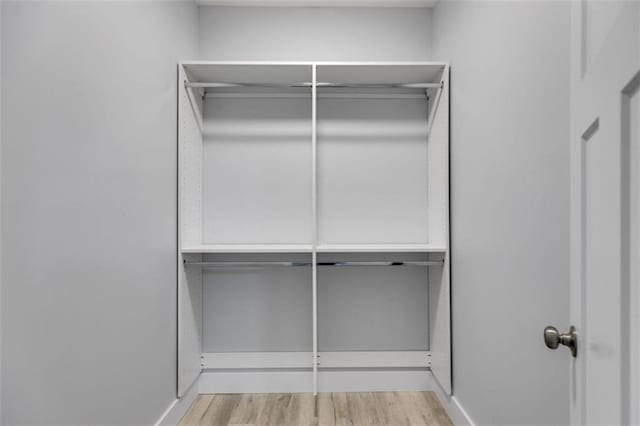 walk in closet featuring wood finished floors