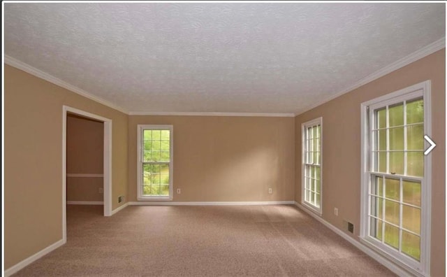 empty room with light carpet, baseboards, a textured ceiling, and ornamental molding