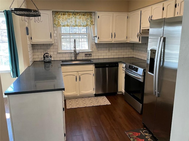 kitchen with dark wood finished floors, dark countertops, appliances with stainless steel finishes, under cabinet range hood, and a sink