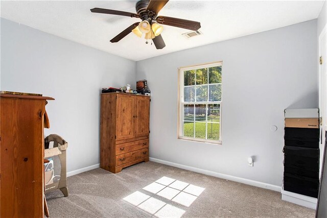 bedroom with ceiling fan, a tray ceiling, carpet, and multiple windows