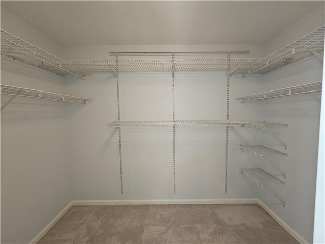 spacious closet with carpet