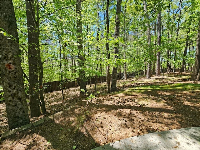 view of local wilderness