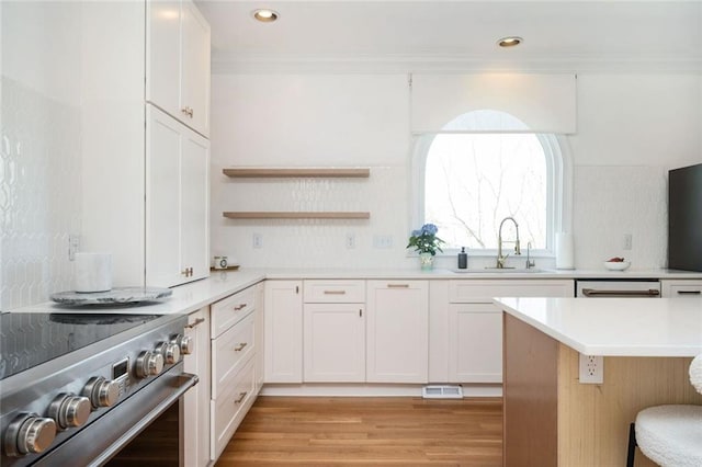 kitchen with white cabinetry, high end range, and a sink