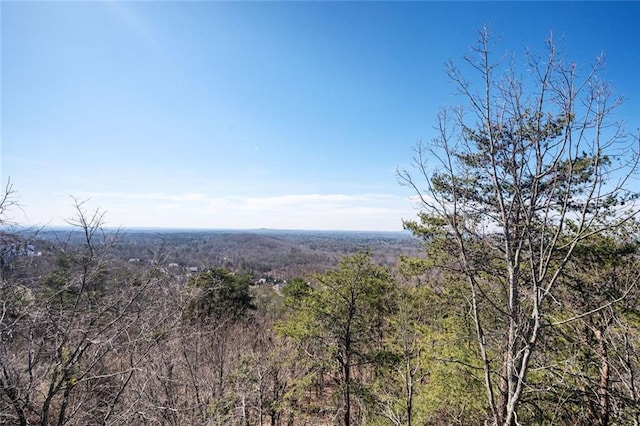 view of local wilderness featuring a view of trees