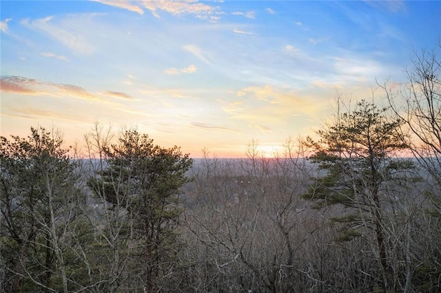 view of nature at dusk