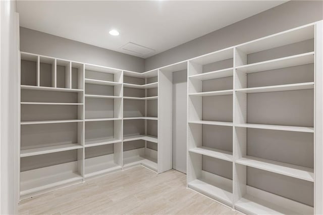 spacious closet with wood finished floors