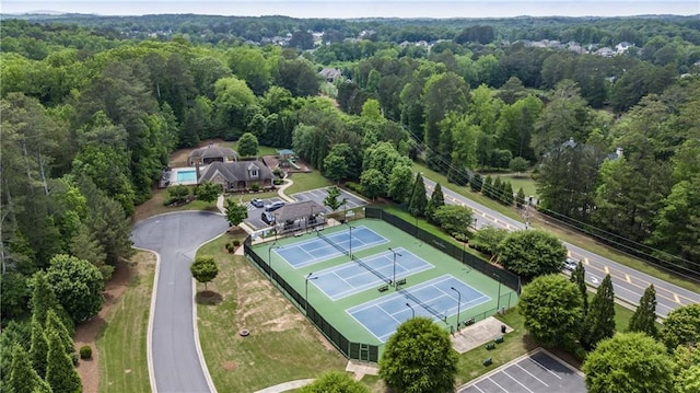 bird's eye view of a forest