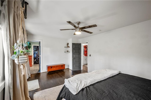 bedroom featuring a walk in closet, dark hardwood / wood-style floors, a closet, and ceiling fan