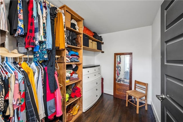 spacious closet with dark hardwood / wood-style floors