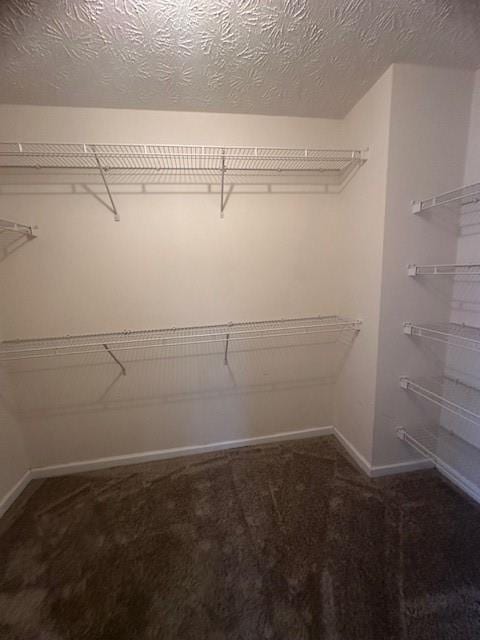 1732 Wyntercreek Ln, Hoschton, GA 30548 - spacious closet featuring carpet
