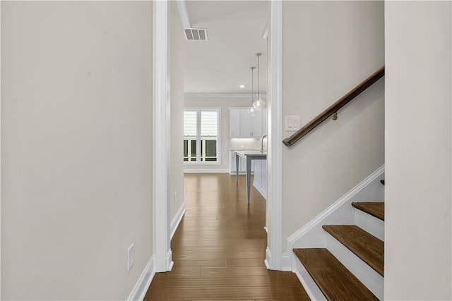 636 Silva St, Cumming, GA 30040 - staircase with wood finished floors, ornamental molding, and baseboards