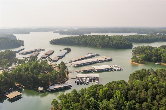 birds eye view of property with a water view and a forest view