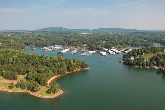 aerial view featuring a water view and a forest view
