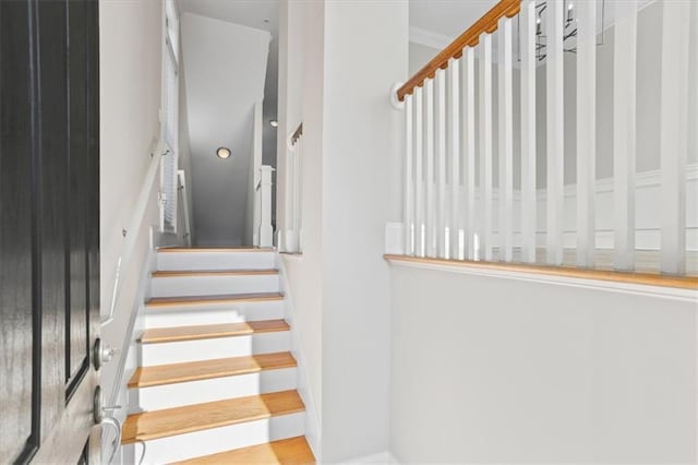 stairs featuring ornamental molding