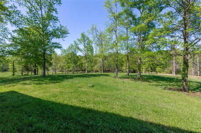 516 Turner Rd, Concord, GA 30206 - view of grassy yard