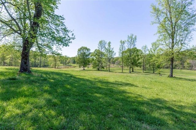 516 Turner Rd, Concord, GA 30206 - view of green lawn