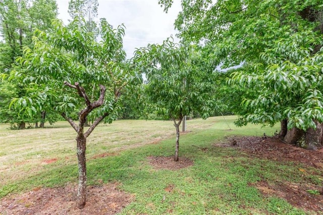 516 Turner Rd, Concord, GA 30206 - view of green lawn