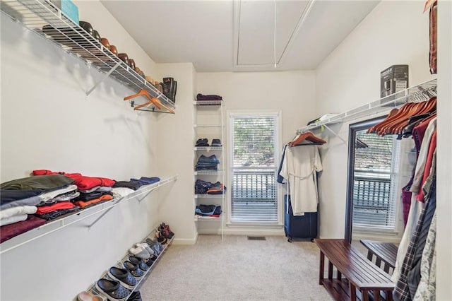 spacious closet featuring carpet