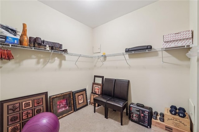 spacious closet with carpet floors