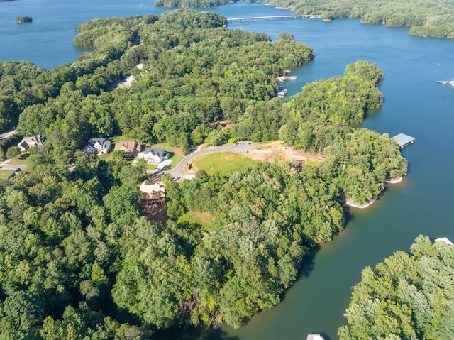 9145 Greenway Ct, Gainesville, GA 30506 - aerial view of property and surrounding area with a forest and a large body of water