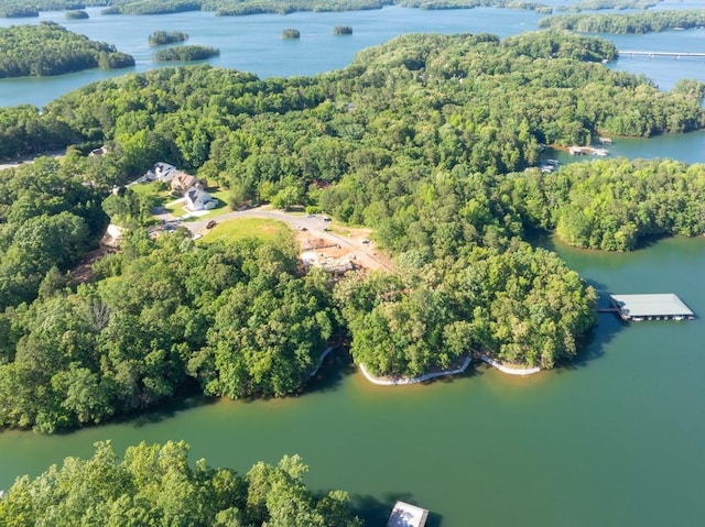 9145 Greenway Ct, Gainesville, GA 30506 - drone / aerial view of a forest and a large body of water