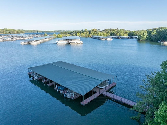 9145 Greenway Ct, Gainesville, GA 30506 - dock area with a water view