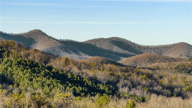 view of mountain feature