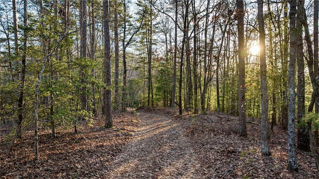 view of nature featuring a forest view