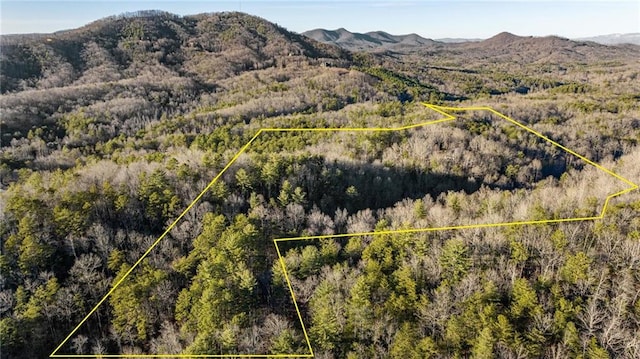 drone / aerial view with a forest view and a mountain view