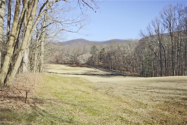 view of mountain feature with a forest view