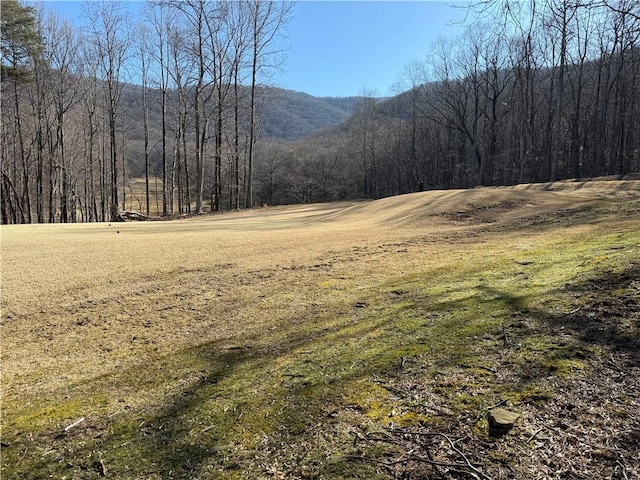 property view of mountains with a view of trees