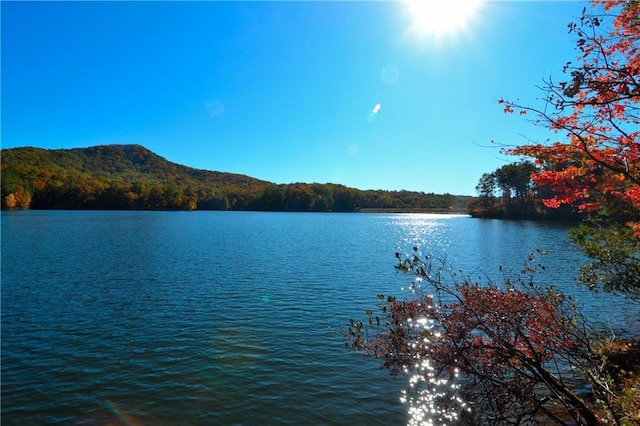 water view with a view of trees