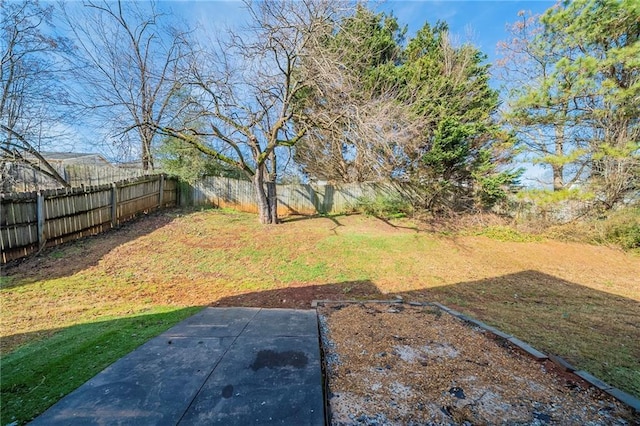 view of yard with a patio