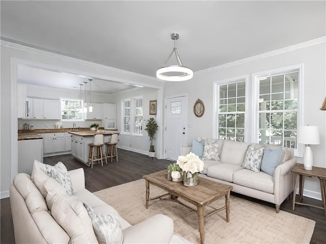 living room featuring dark hardwood / wood-style flooring, ornamental molding, and sink