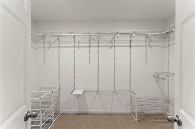 185 Lee Path, Acworth, GA 30102 - view of walk in closet
